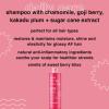 imagebfresh Daily Care Shampoo  Good Hair Day Everyday  Daily Cleanser for All Hair Types Enriched with Chamomile  Sugar Cane Extract for Shine 12 Fl Ozdaily care shampoo