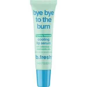 imagebye bye to the burn  hydrating minty lip serum